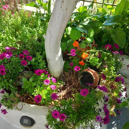 Studio In Garden Poros Town Екстер'єр фото