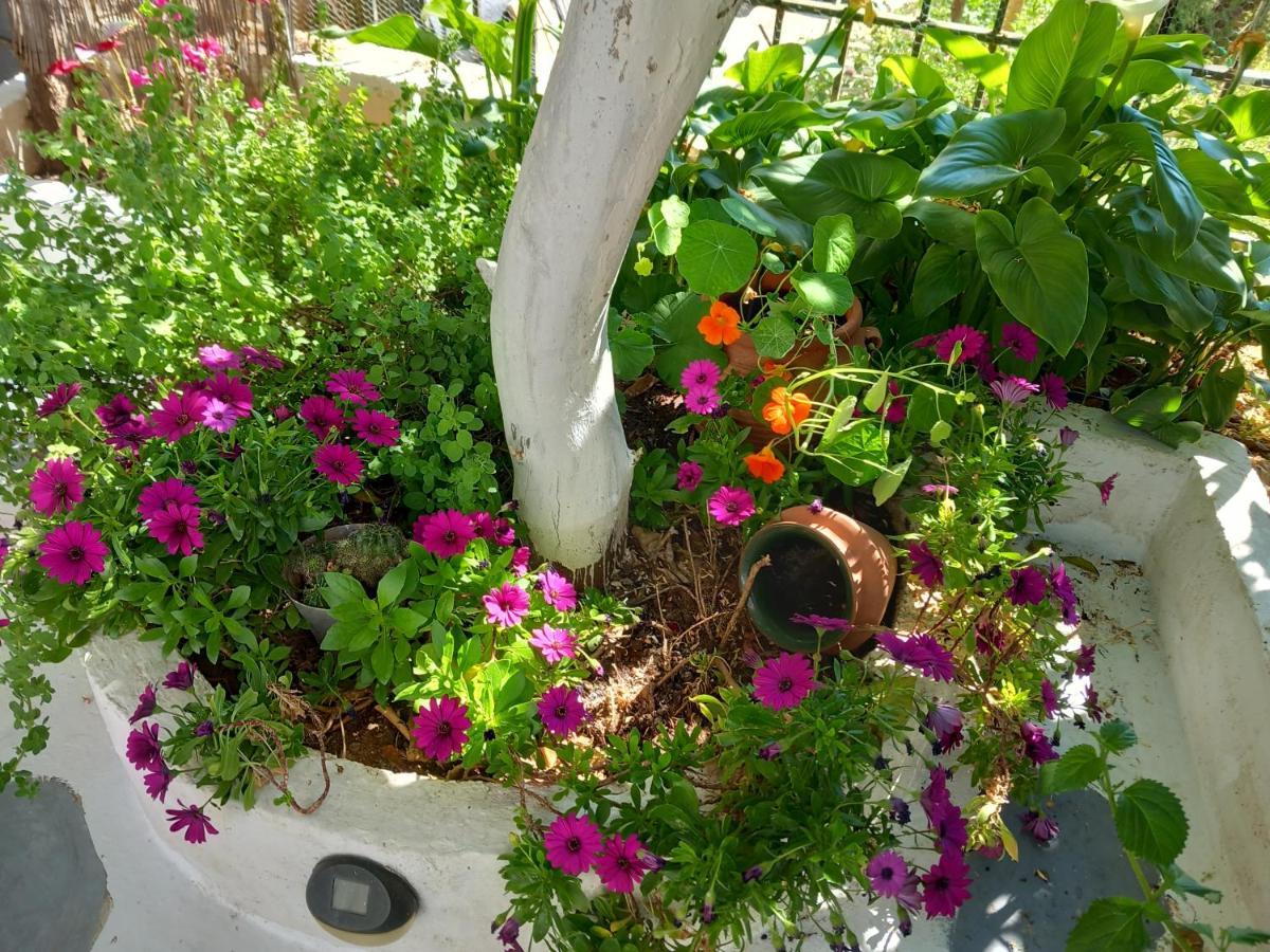 Studio In Garden Poros Town Екстер'єр фото